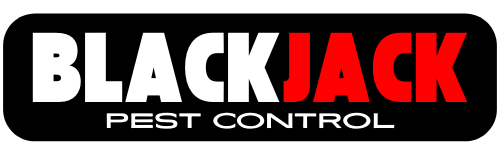 blackjack pest control dallas