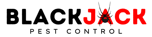 black jack logo dark
