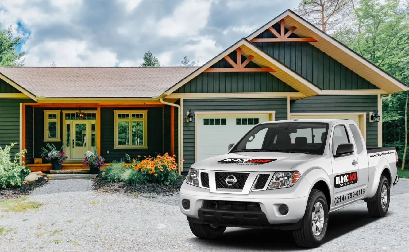 pest control dallas tx